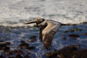 Ga993a0034b56eb6fcbc7e73a22df1e712a3d71cbc876bfc65073bdfc1dfc91bd3f652926ddca0e525a9ed90b1b7c2e396b187b9e26d9cf62977dbbf17344f063 640